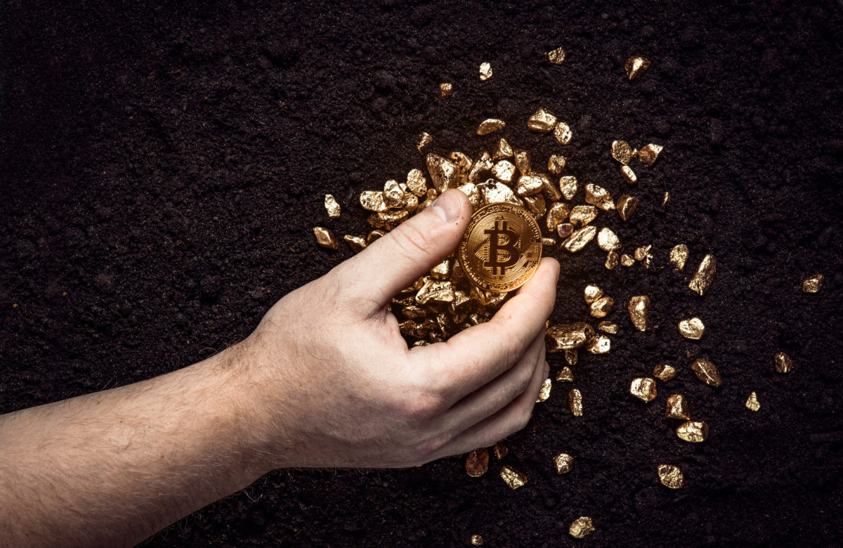 Poll by UFC's Askren: Majority Would HODL Bitcoin Over Gold