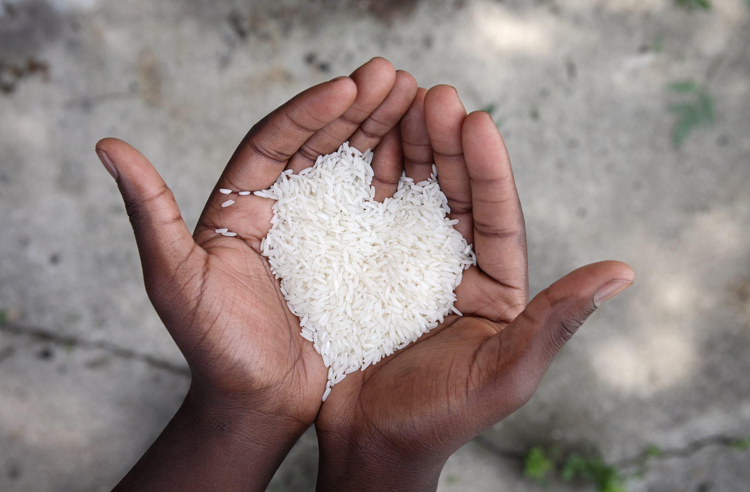 Food, Shelter and Clothing: Bitcoin Cash Charities Making a Global Impact