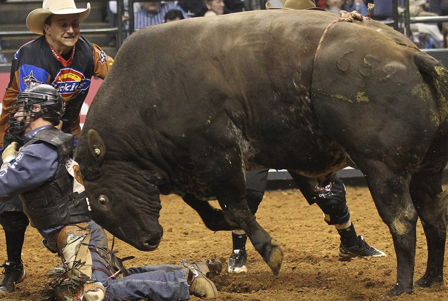 Market Update: Crypto Prices Hold Steady After Massive Bullish Spike Market Update: Crypto Prices Hold Steady After Massive Bullish Spike