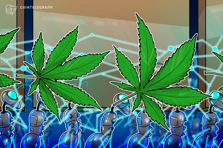 Blockchain Firm Partners With Cannabis Data App to Create Research Project