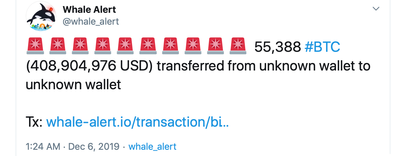 While Markets Move Sideways, Crypto Whale Sightings Increase While Markets Move Sideways, Crypto Whale Sightings Increase