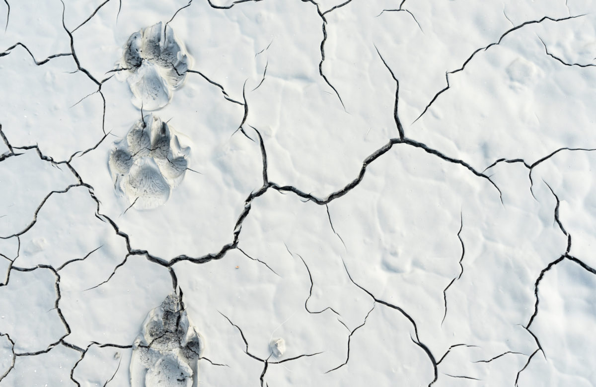 Bitcoin’s Drop Has Put Bulls on the Defensive; Here’s What May Spark a Further Sell Off