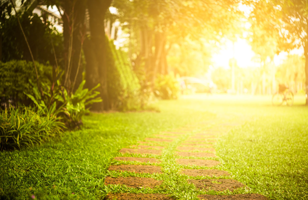 Wyckoff Schematic Suggests Bitcoin Bottom Not In at $6,600: Analyst