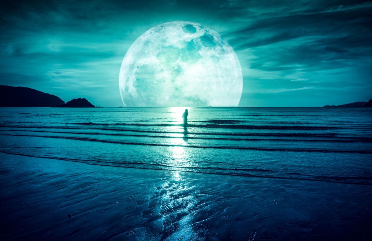 A $50,000 Bitcoin Price; How Likely is a 13-Digit Market Cap?