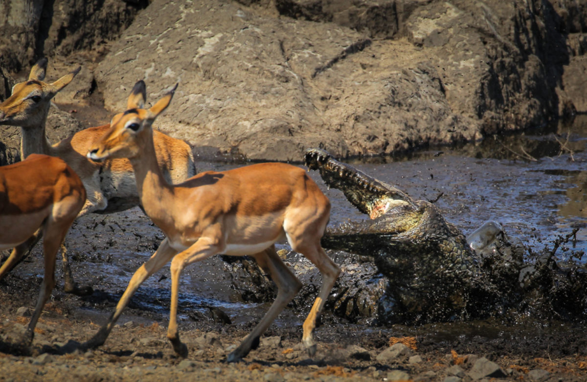 Fear of Mining 'Death Spiral' Blocks Path to $100,000 Bitcoin