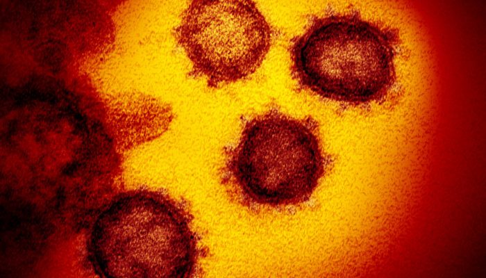 Did Coronavirus Originate in America? Chinese Media Pushes Conspiracy