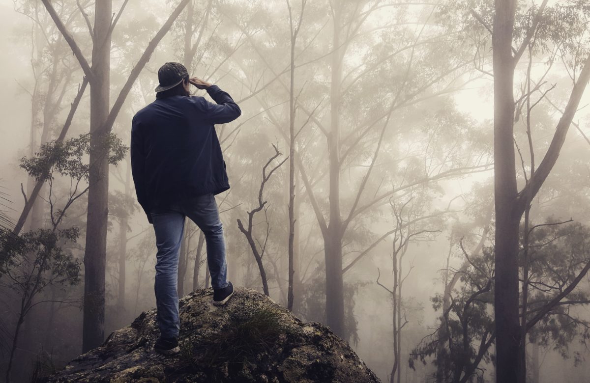 Crypto Tidbits: Bitcoin Plunges Under $9,000, Bitfinex and OKEx DDOS Attacks, Warren Buffett Bashes Cryptocurrency Again