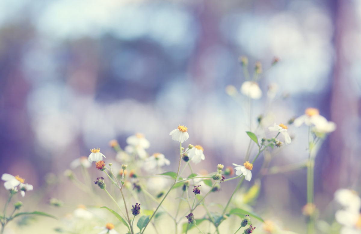 This Key Metric Suggests the Crypto Market's Downturn Will Be Shortlived