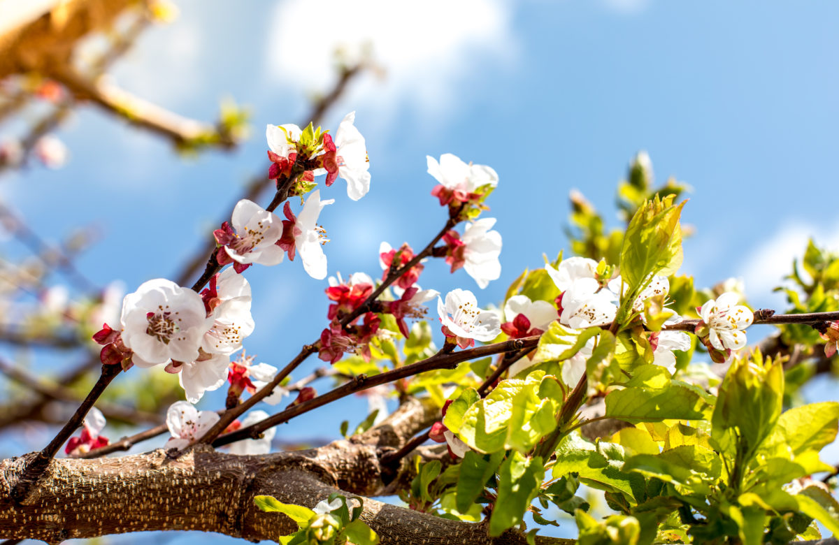 Top Investors Think Bitcoin Can Breach $20,000 In Coming 12 Months: Here's Why