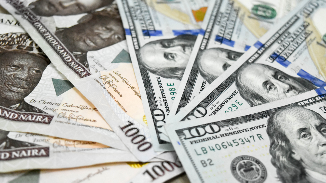 Nigeria Foreign Exchange Crisis: Worsening US Dollar Shortages Point to Further Devaluation