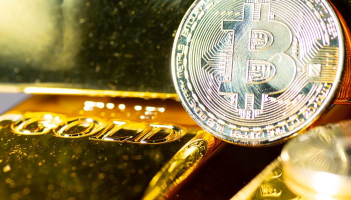 Chart Comparison Demonstrates Effectiveness Of Bitcoin Digital Gold Narrative