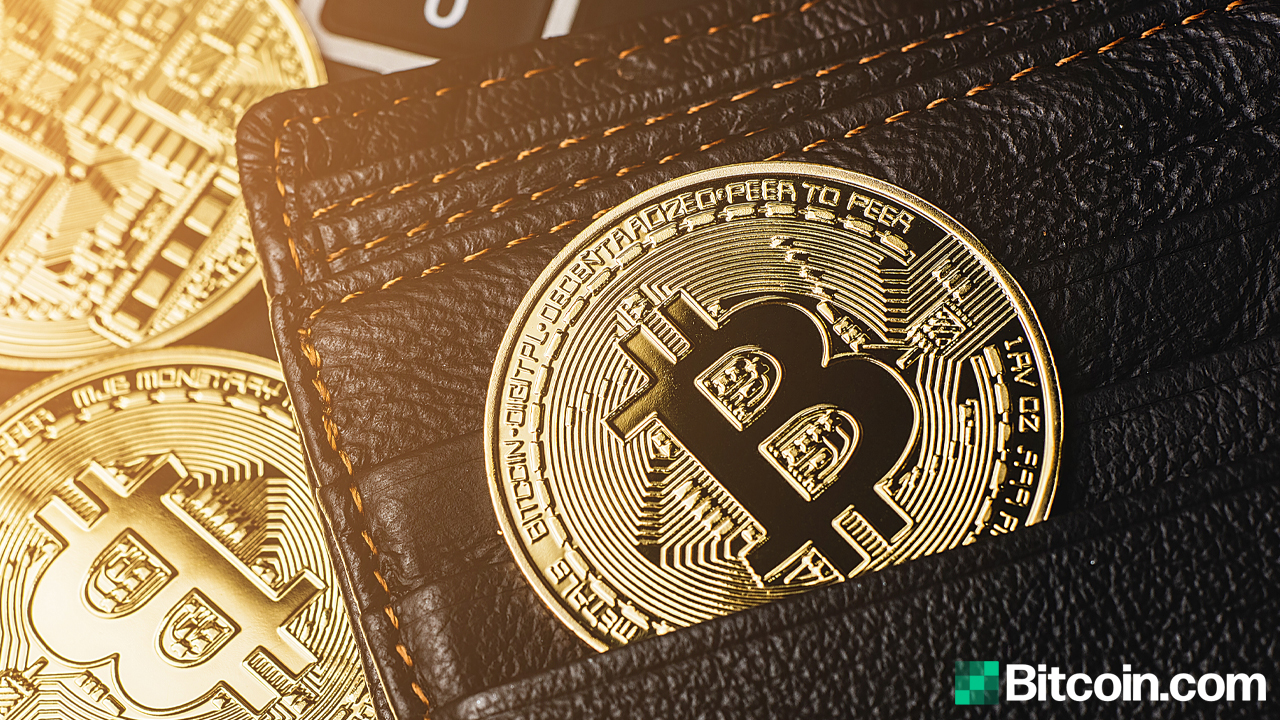 Microstrategy Scoops up 262 Bitcoin, Treasury Holds 91K BTC at an Average of $24K per Coin