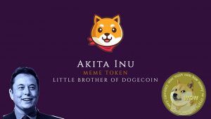 Akita Inu: Is It the Next Dogecoin?