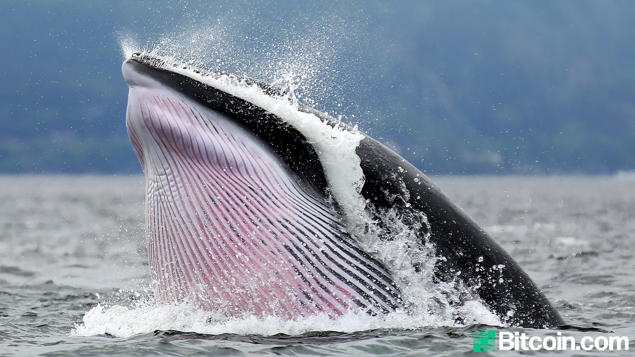 Whales Move Over $4 Billion in BTC During Sunday's Market Carnage, 150 Bitcoin from 2010 Spent