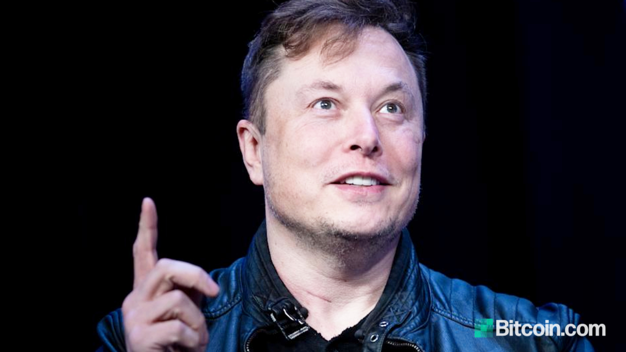 Elon Musk Sees Dogecoin as His 'Stimulus for People Kicked by Pandemic' but Cautions About Crypto Investing