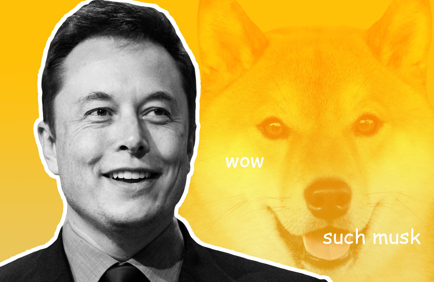 Black and white picture of Elon Musk with a Dogecoin Shiba Inu dog behind him