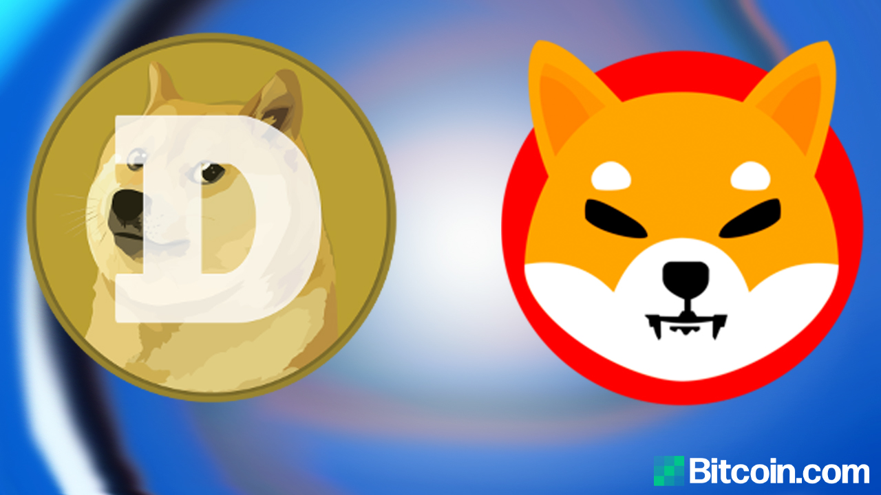 SHIB vs. DOGE - Who Is the Top Dog in Crypto Land? – Altcoins Bitcoin News