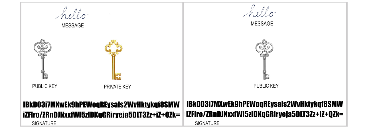 Who Holds All the Bitcoin List Debunked — Without Cryptographic Proof No BTC Ownership Claim Holds Water Who Holds All the Bitcoin List Debunked — Without Cryptographic Proof No BTC Ownership Claim Holds Water