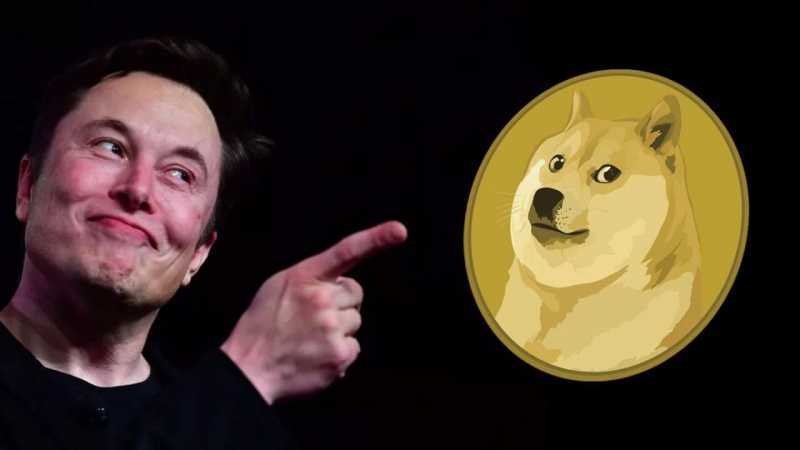Elon Musk dogecoin