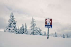 How Avalanche Has Climbed It's Way Towards The Top