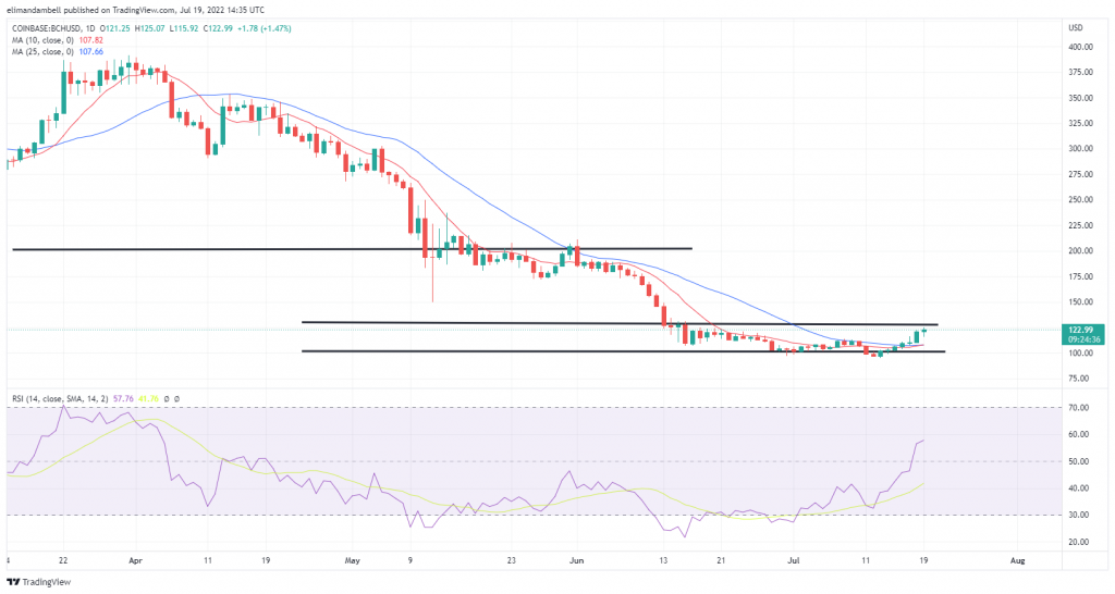 Biggest Movers: SHIB Remains Close to 2-Month High, as BCH Extends Recent Gains Biggest Movers: SHIB Remains Close to 2-Month High, as BCH Extends Recent Gains