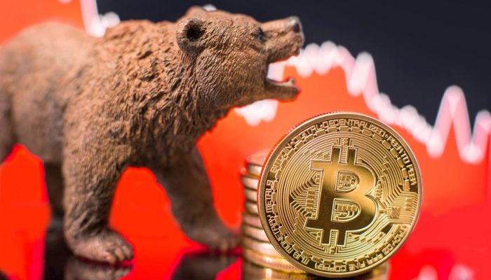 Bitcoin bear