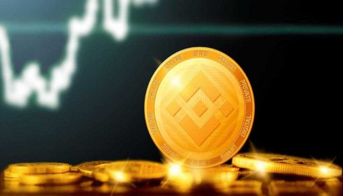 Binance Coin Struggles Below $290 Resistance, Where Would Price Go?