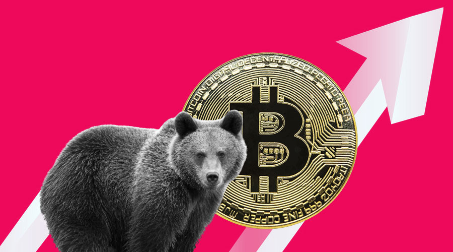 Bitcoin bear