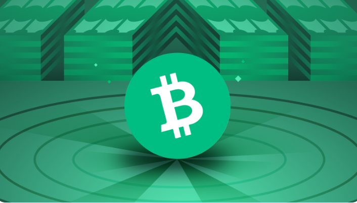 Bitcoin Cash Closes 2022 With A Year-Low