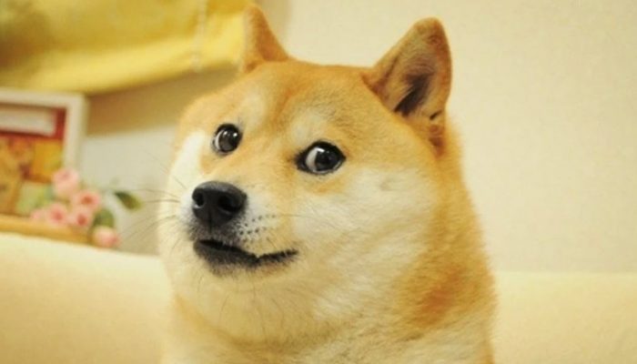 Twitter Changes Bird Logo to Picture of Doge, Dogecoin Price Surges 20% After the Change
