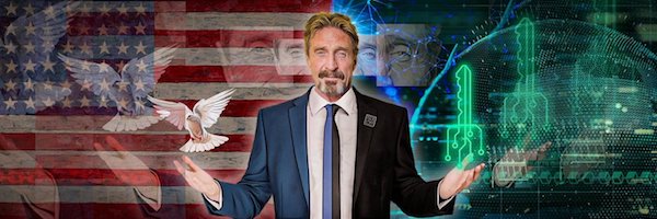 John McAfee was a presidential candidate twice.