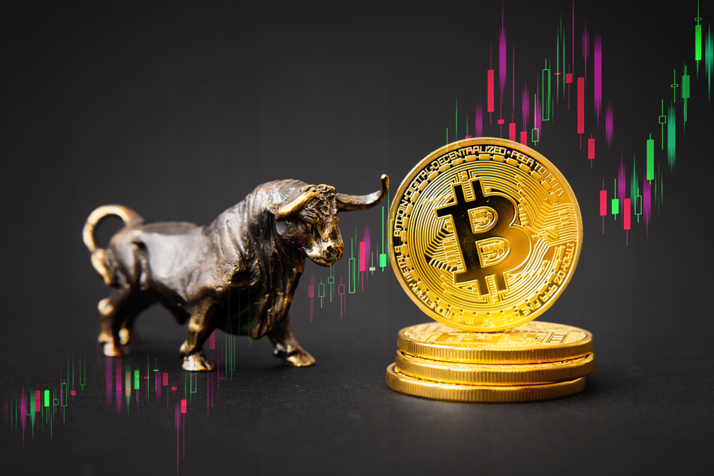 bitcoin bull run