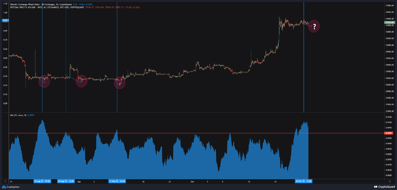 Bitcoin Exchange Whale Ratio