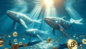 Bitcoin whales Small